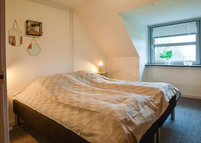 Lovely In With Wifi *